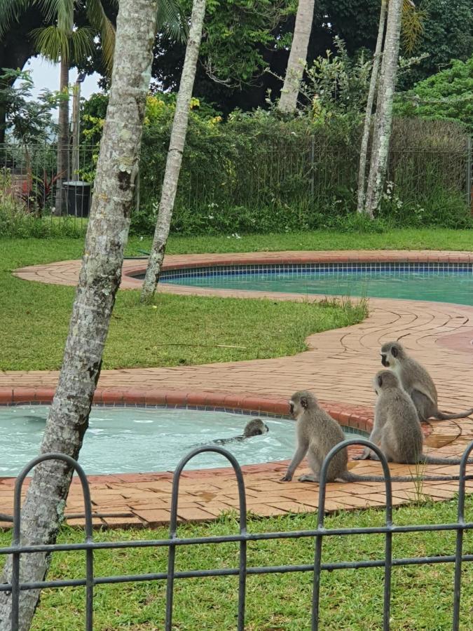 Unit 30 The Bridge - Family Unit In A Prime Spot On The Ground Floor Apartment St Lucia Bagian luar foto