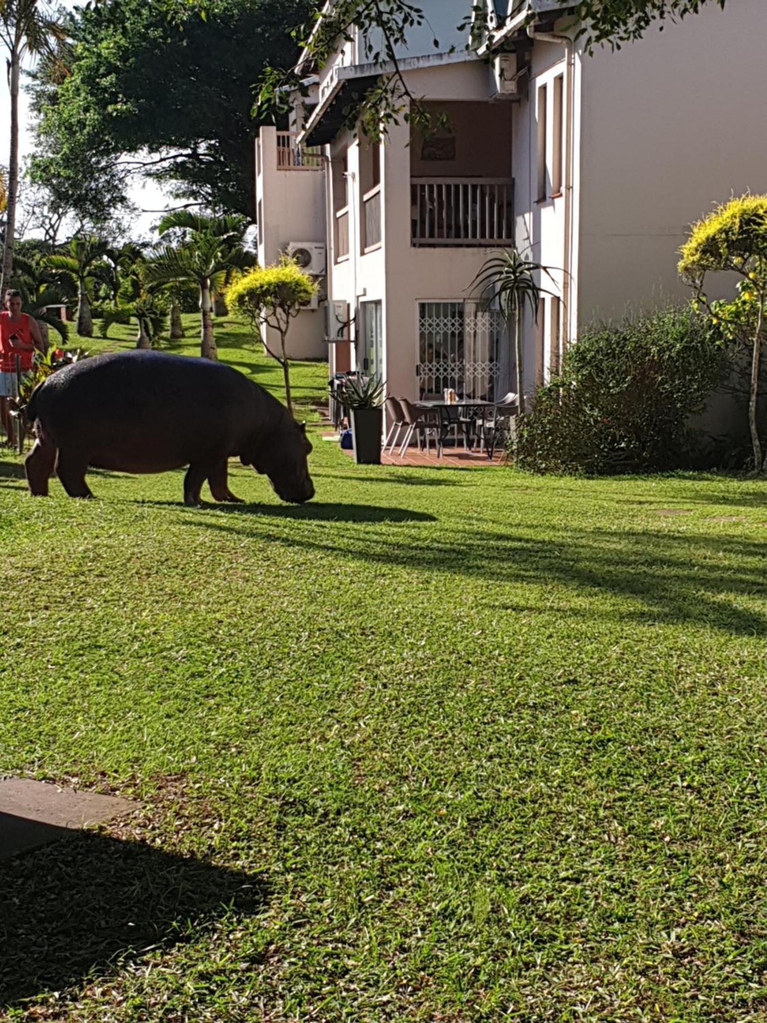 Unit 30 The Bridge - Family Unit In A Prime Spot On The Ground Floor Apartment St Lucia Bagian luar foto